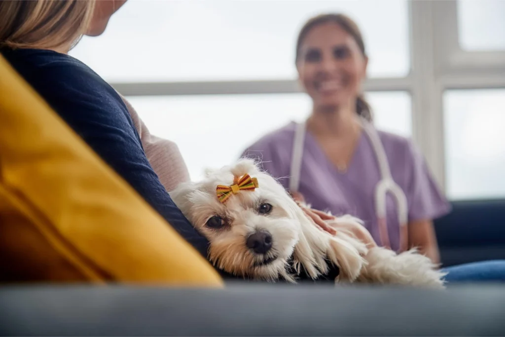 In-home veterinary services